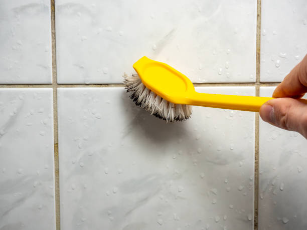 Best Mold Cleaning Services  in Belvidere, NJ