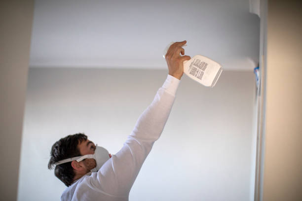 Best Office Mold Removal Services  in Belvidere, NJ