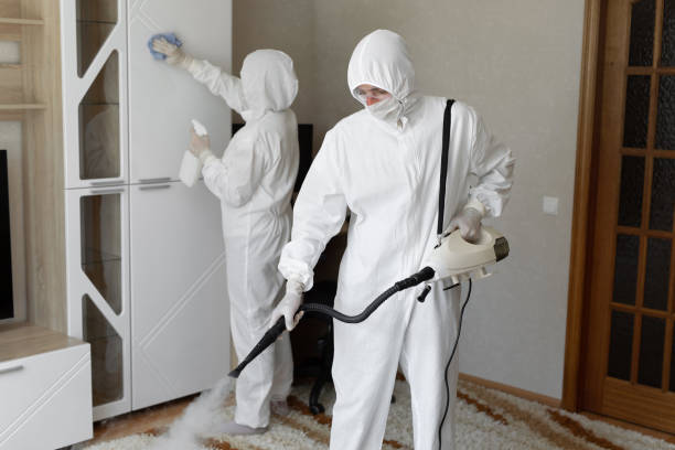 Best Home Mold Removal  in Belvidere, NJ