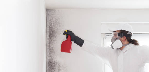 Water Damage Restoration in Belvidere, NJ